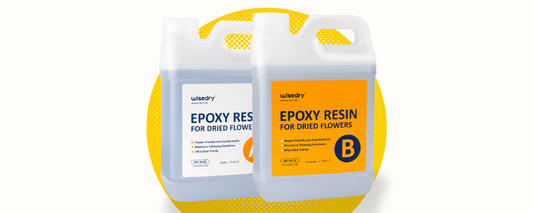 New Product Trial - Wisedry Epoxy Resin