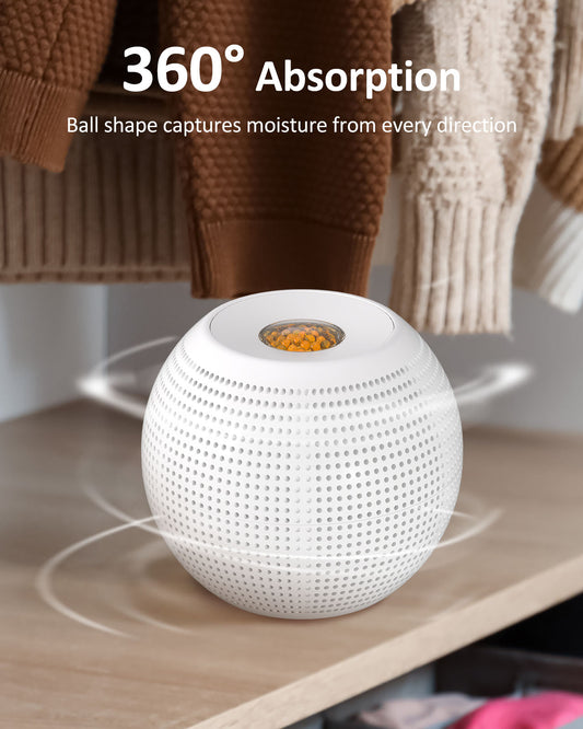 Wisedry Mini Dehumidifier