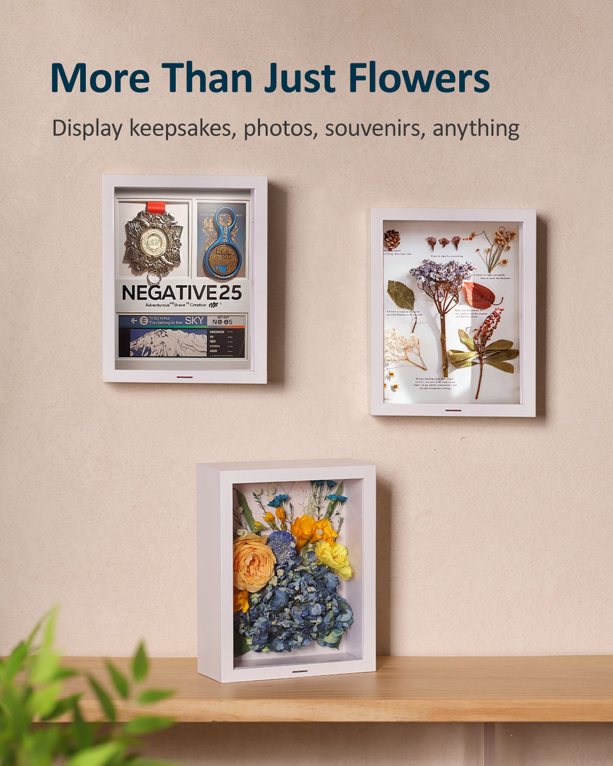 Wisedry Shadow Box for Flower Preservation