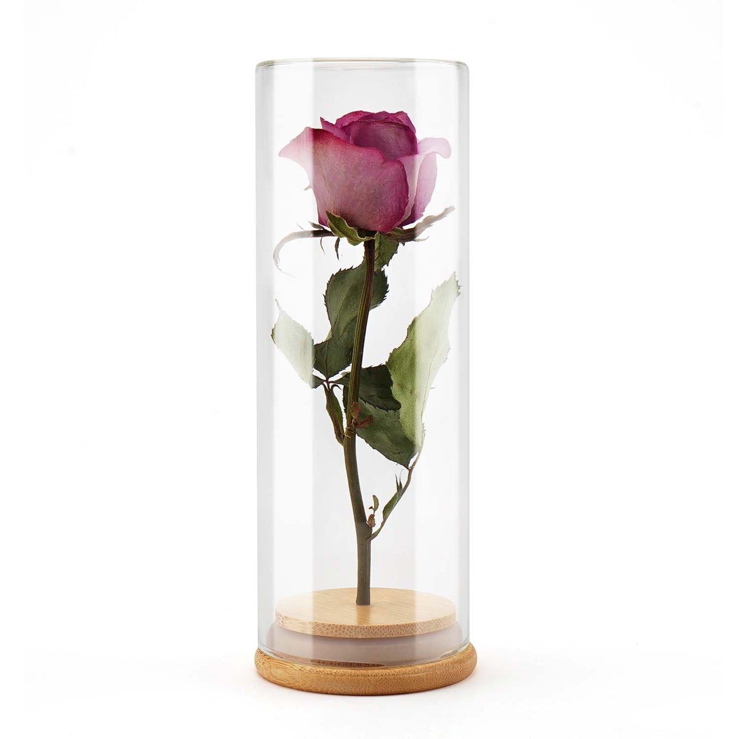 Flower drying jar with silica gel – preserve full-stem flowers in airtight glass display for lasting memories