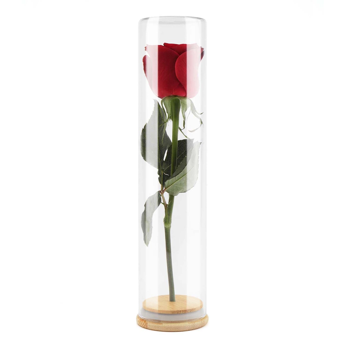 Flower drying jar with silica gel – preserve full-stem flowers in airtight glass display for lasting memories