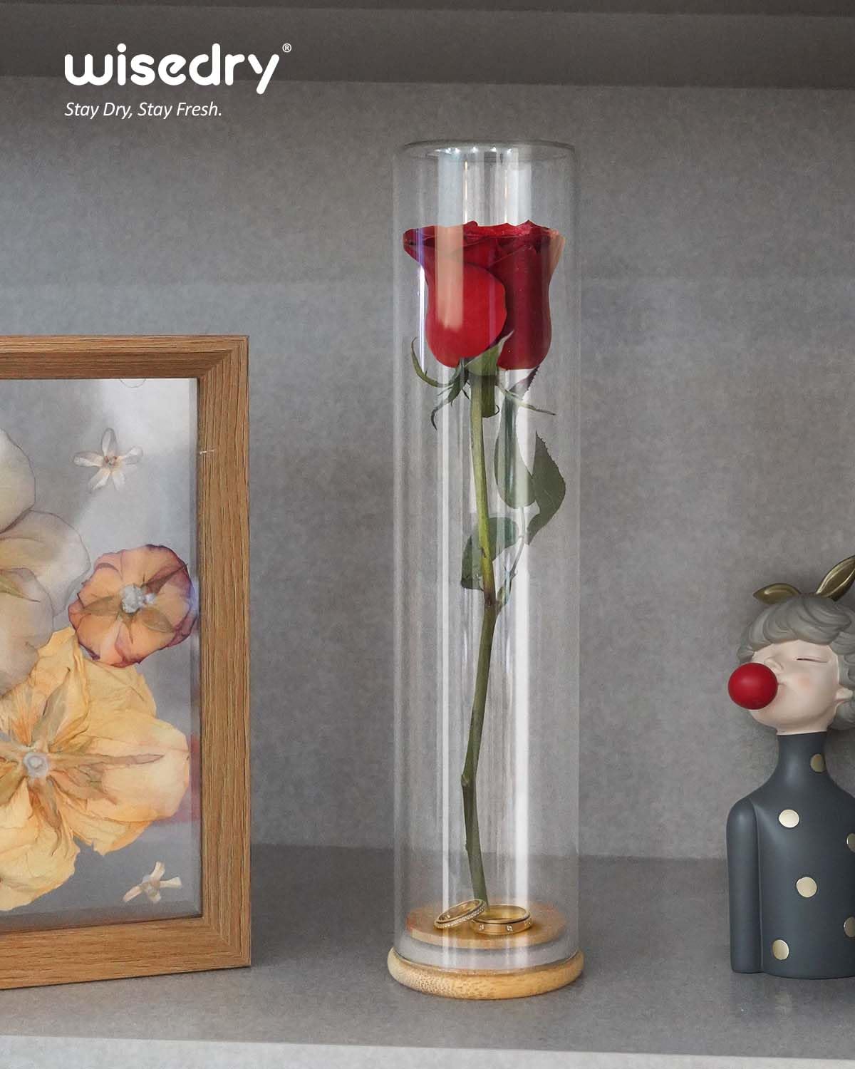 wisedry Decorative Glass Jar Display Case 2.6''x11''