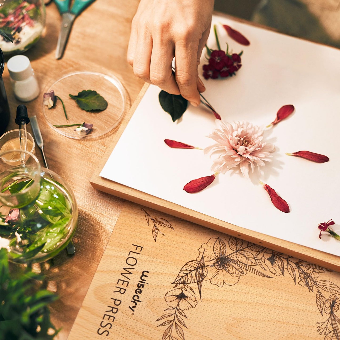 wisedry Flower Press Kit