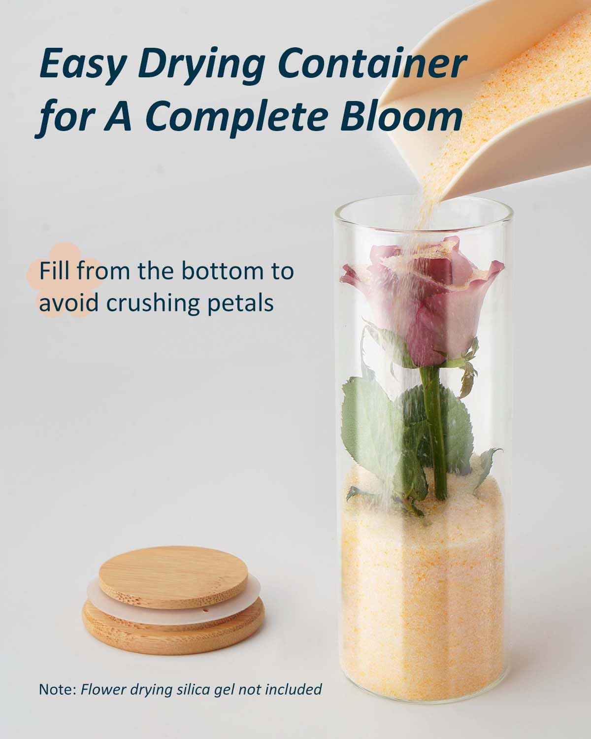 wisedry Decorative Glass Jar Display Case 2.6‘’ × 7.1‘’