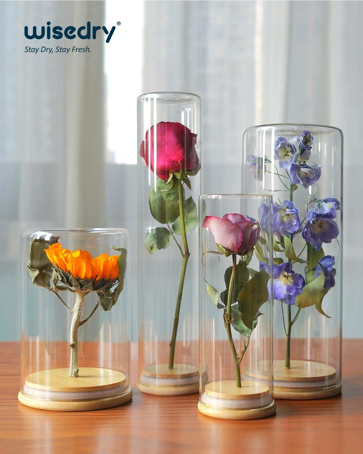 wisedry Decorative Glass Jar Display Case 2.6''x11''