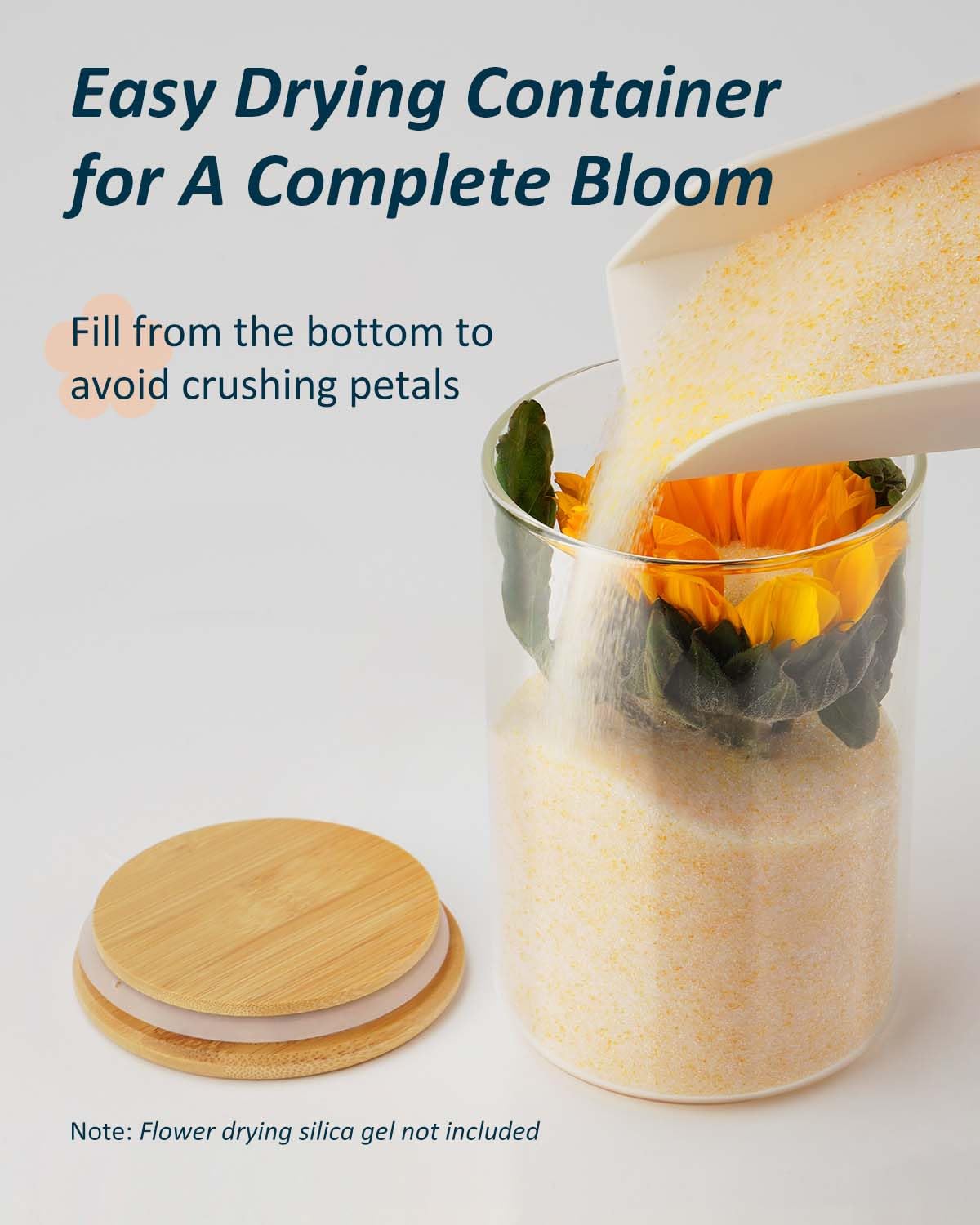 wisedry Glass Jar Display Case 3.9" x 6"