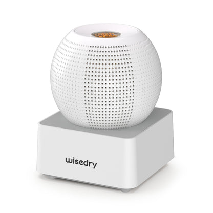 Wisedry Mini Dehumidifier