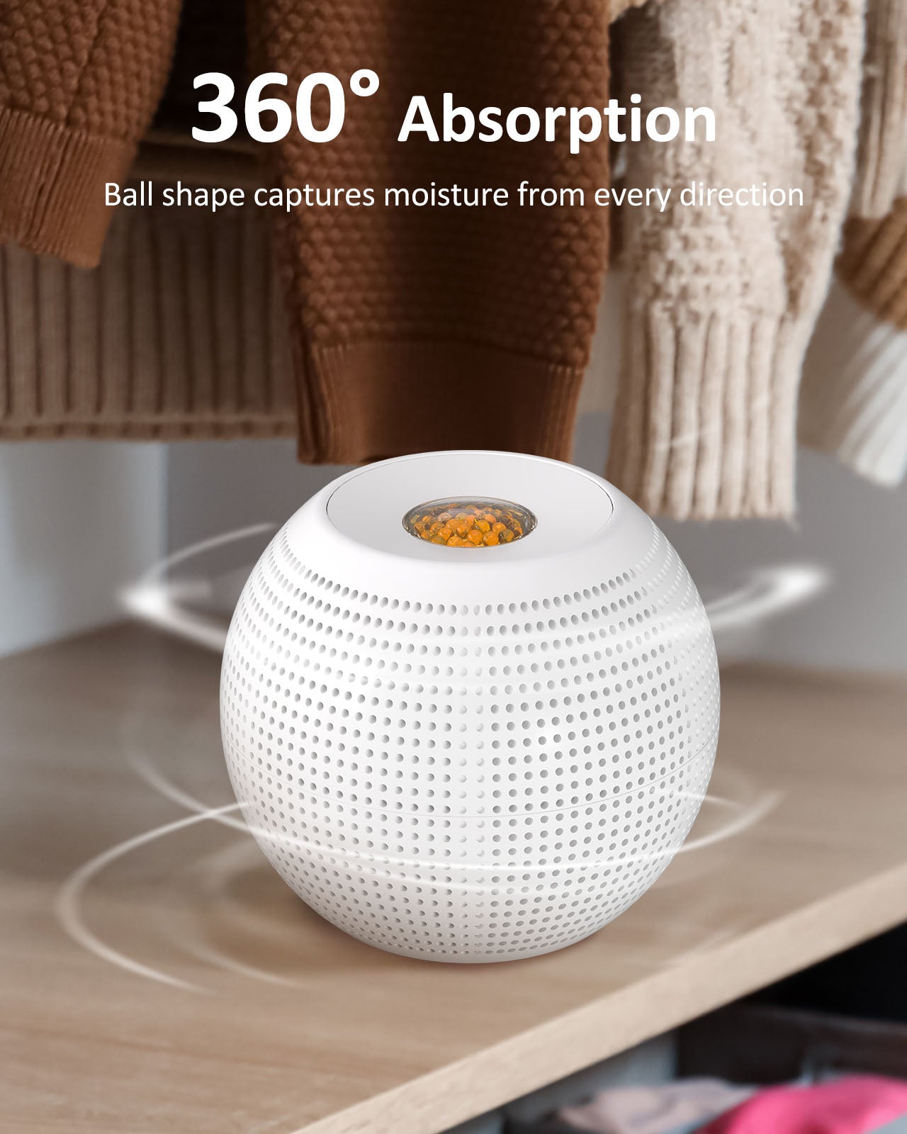 Wisedry Mini Dehumidifier