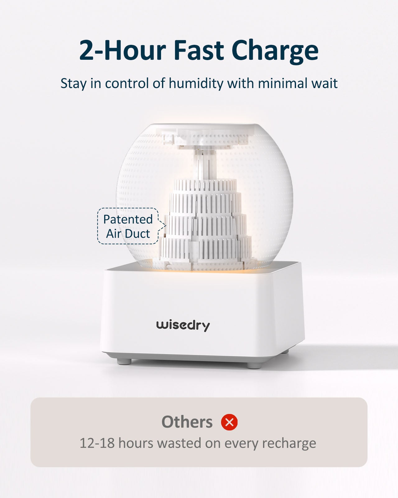 Wisedry Mini Dehumidifier