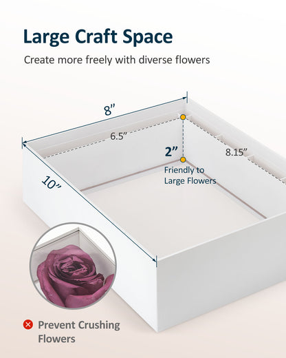 Wisedry Shadow Box for Flower Preservation