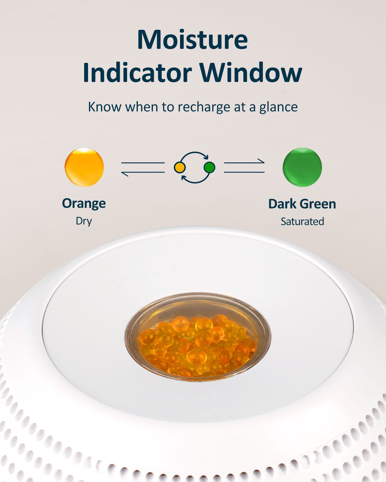 Wisedry Mini Dehumidifier