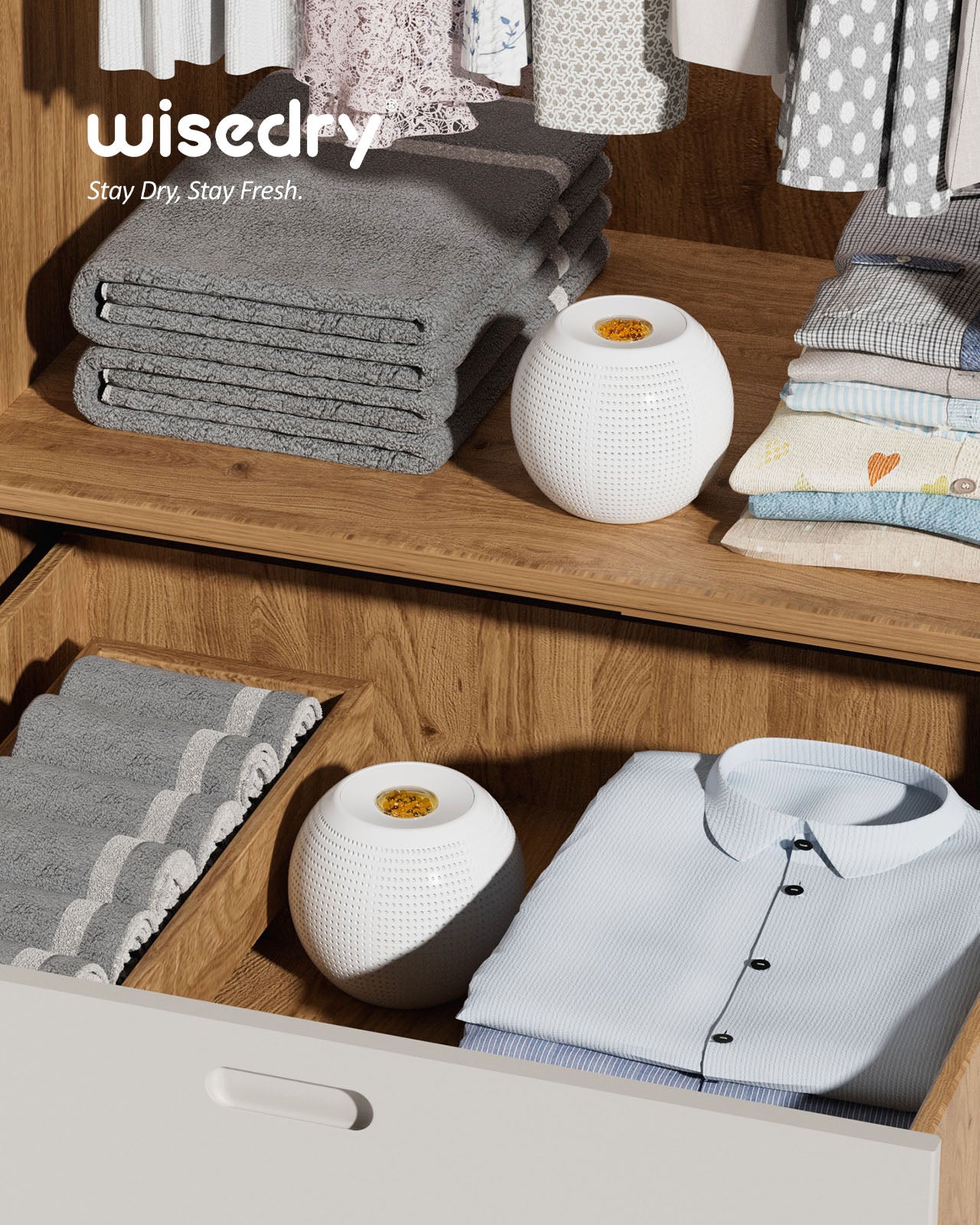 Wisedry Mini Dehumidifier