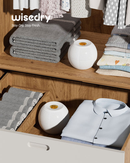 Wisedry Mini Dehumidifier