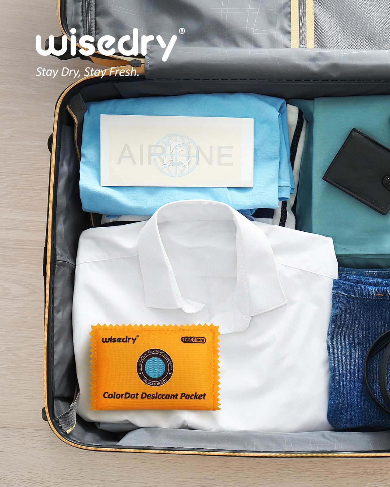 wisedry ColorDot Silica Gel Packets 100g