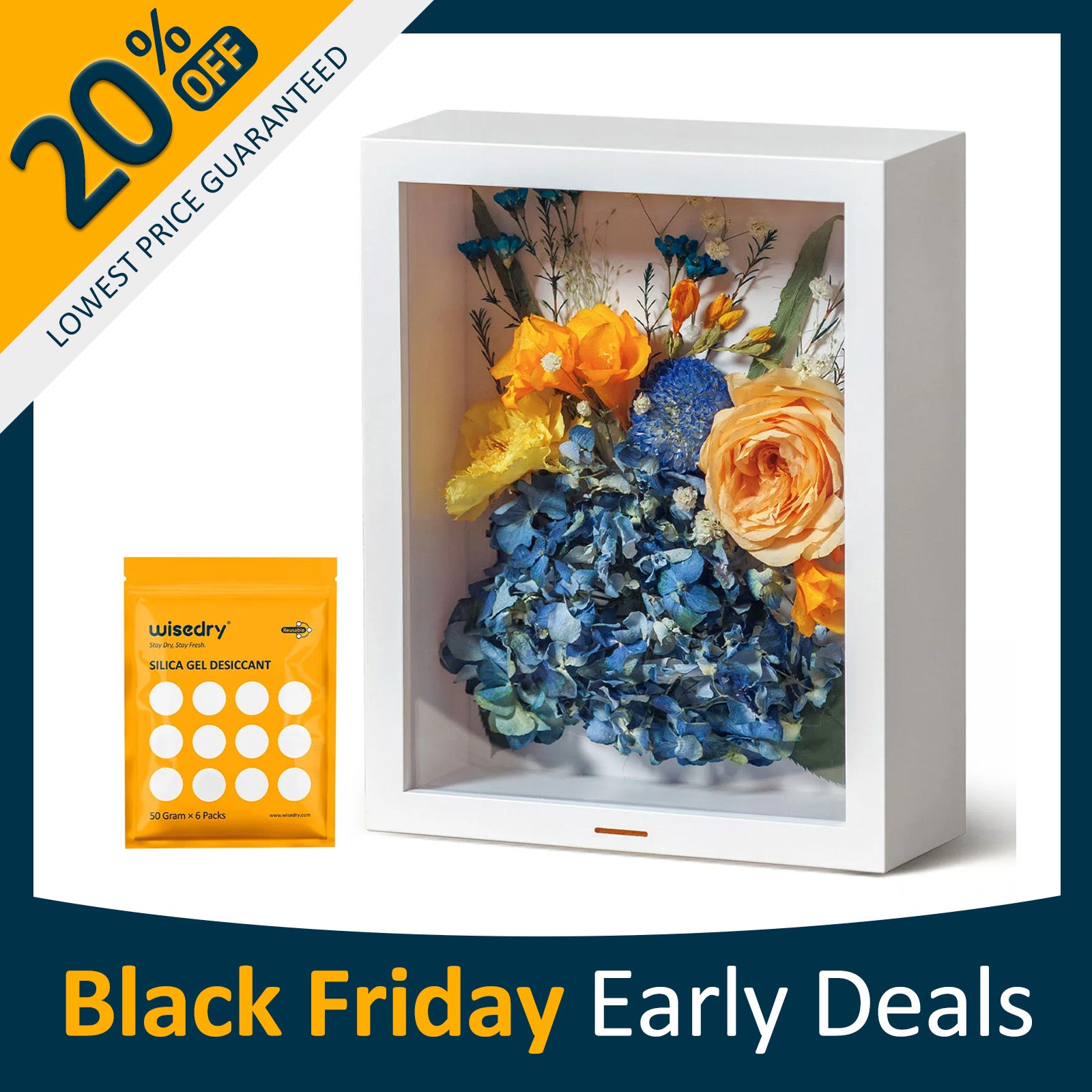 A clear, airtight flower shadow box with dried roses inside, featuring a hidden desiccant compartment and a humidity indicator.