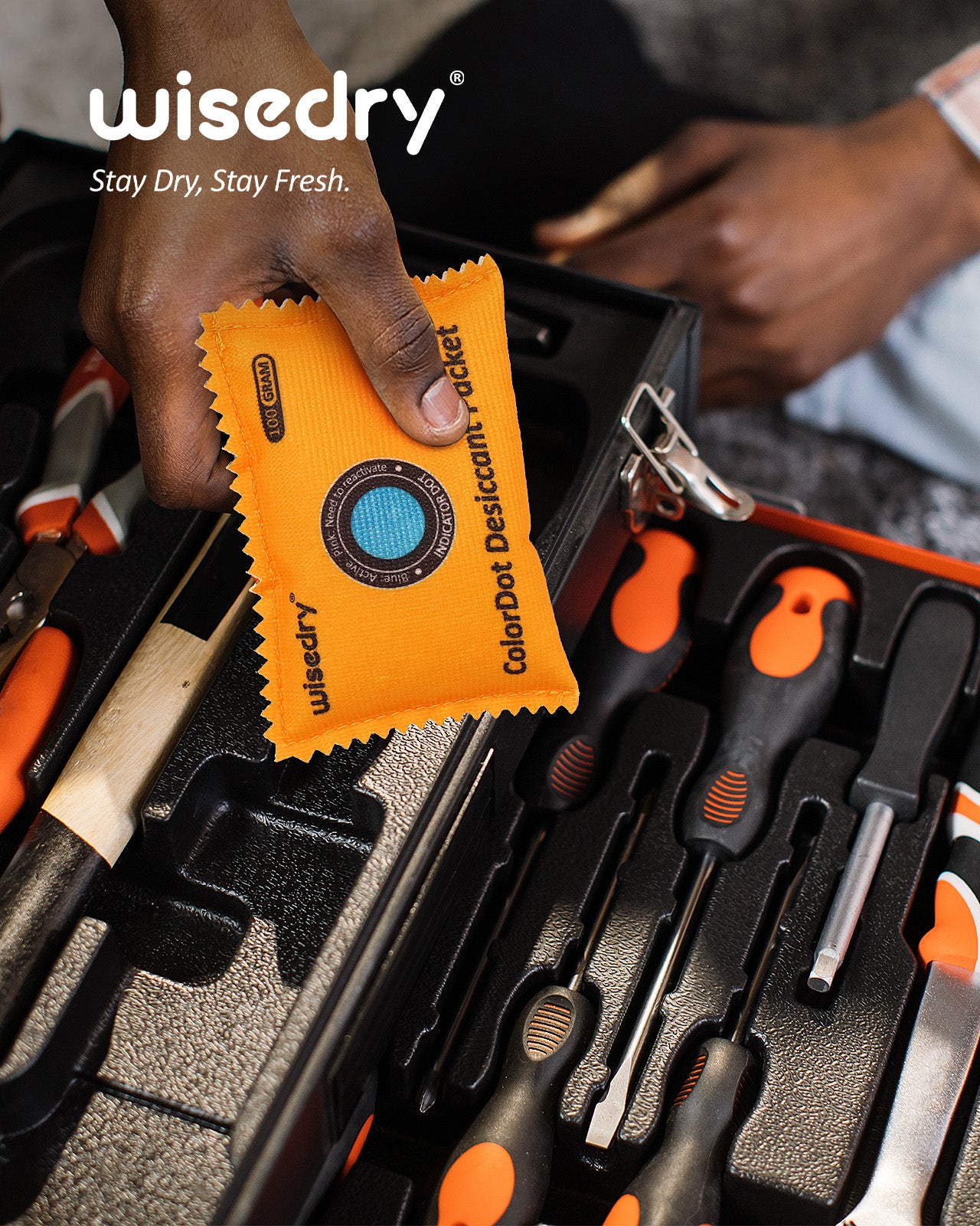 wisedry ColorDot Silica Gel Packets 100g