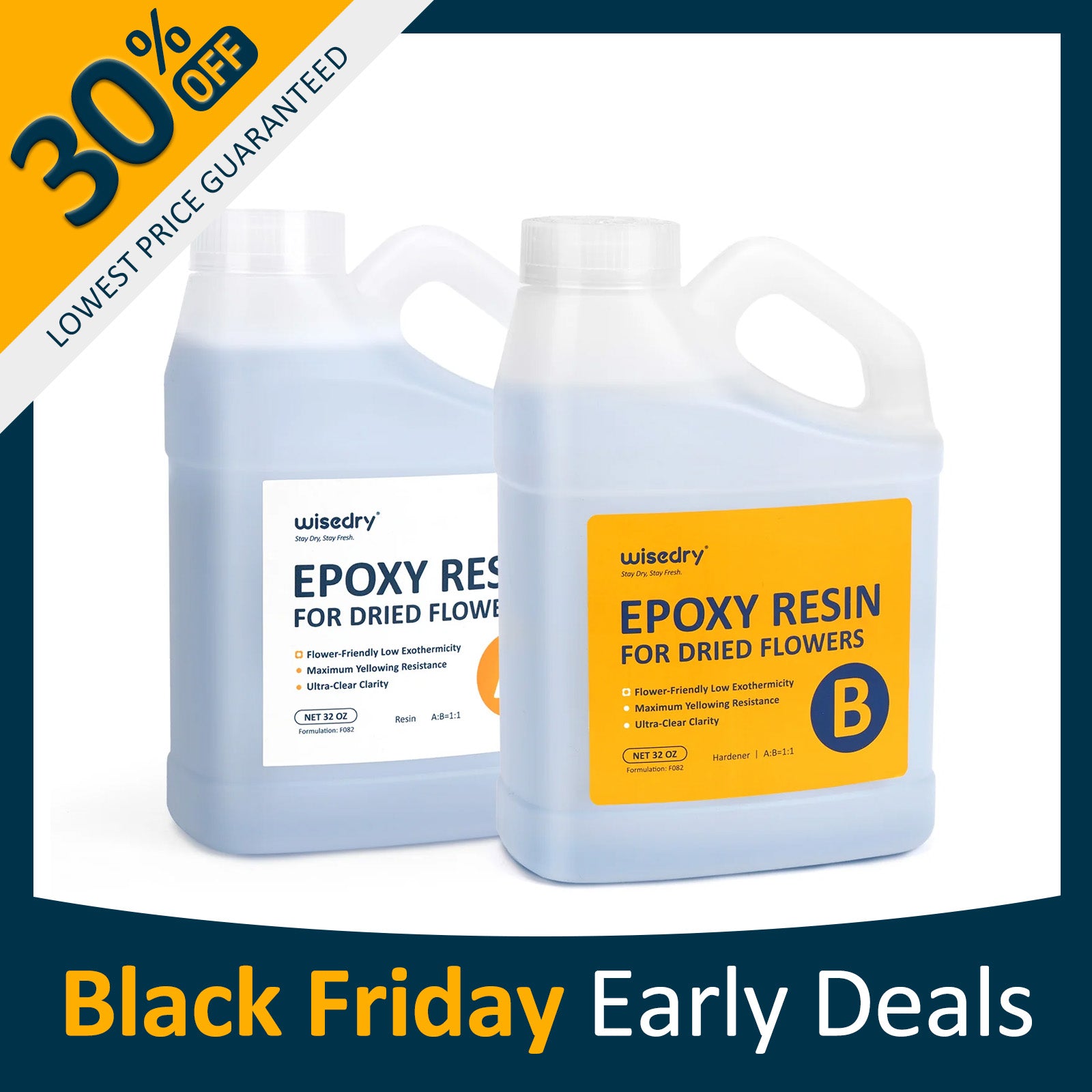 wisedry 1 : 1 Epoxy Resin for Floral Preservation