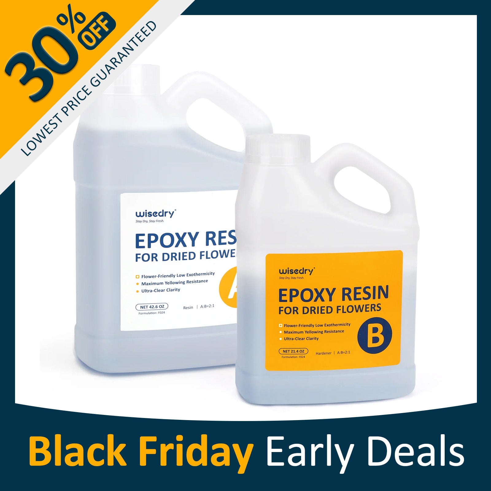 wisedry 2 : 1 Epoxy Resin for Floral Preservation