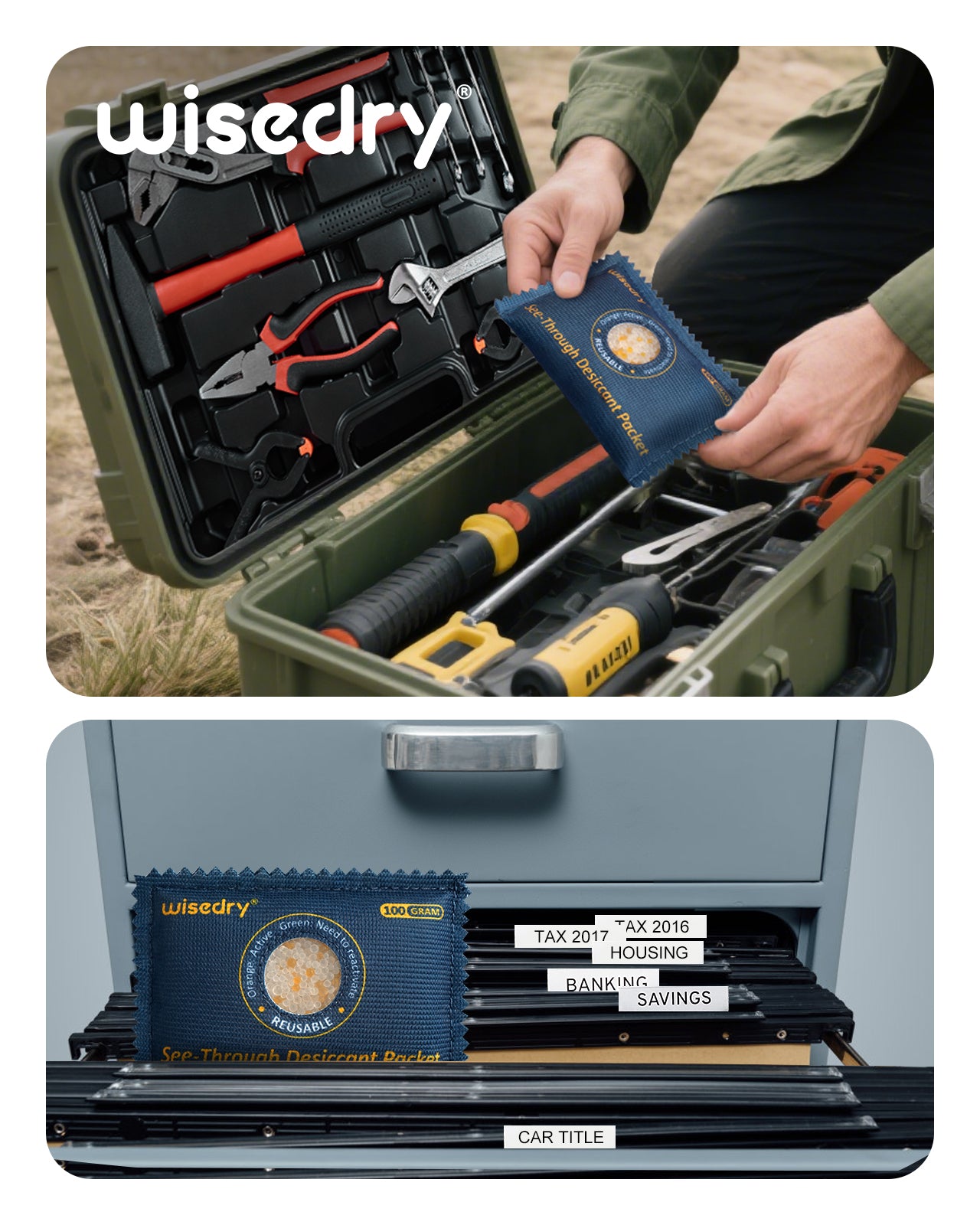 wisedry 100g [10 Packs] See-Through Desiccant Packs