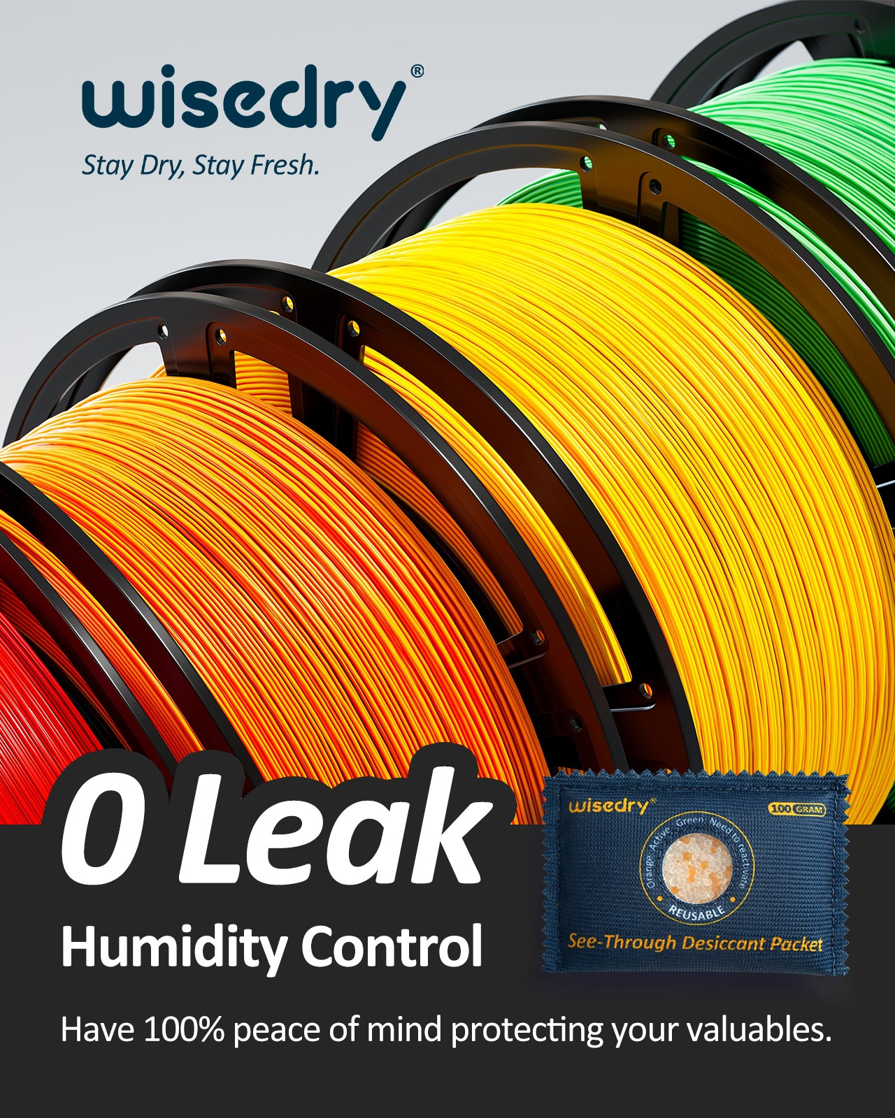 wisedry 100g [10 Packs] See-Through Desiccant Packs