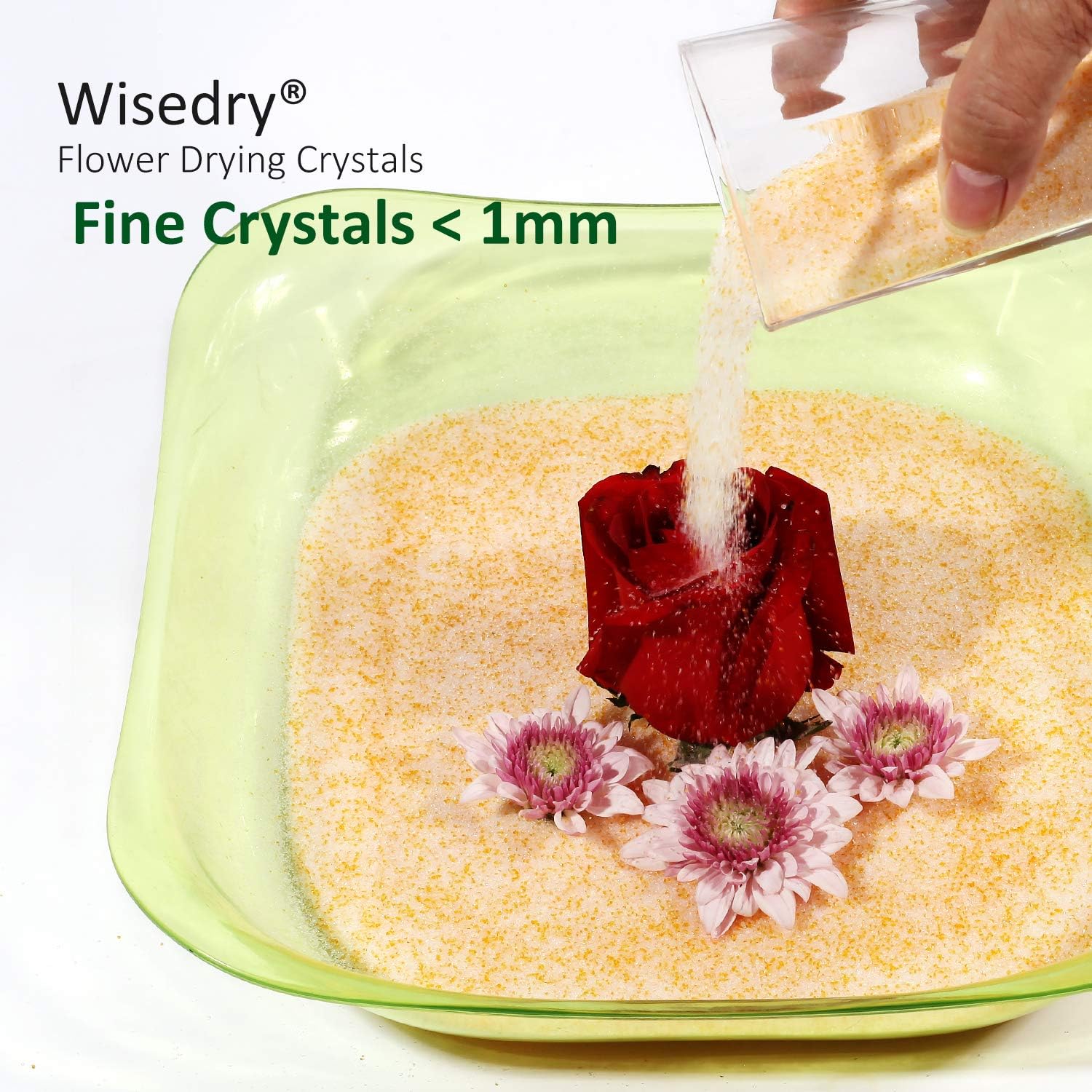 wisedry Silica Gel Flower Drying Crystals
