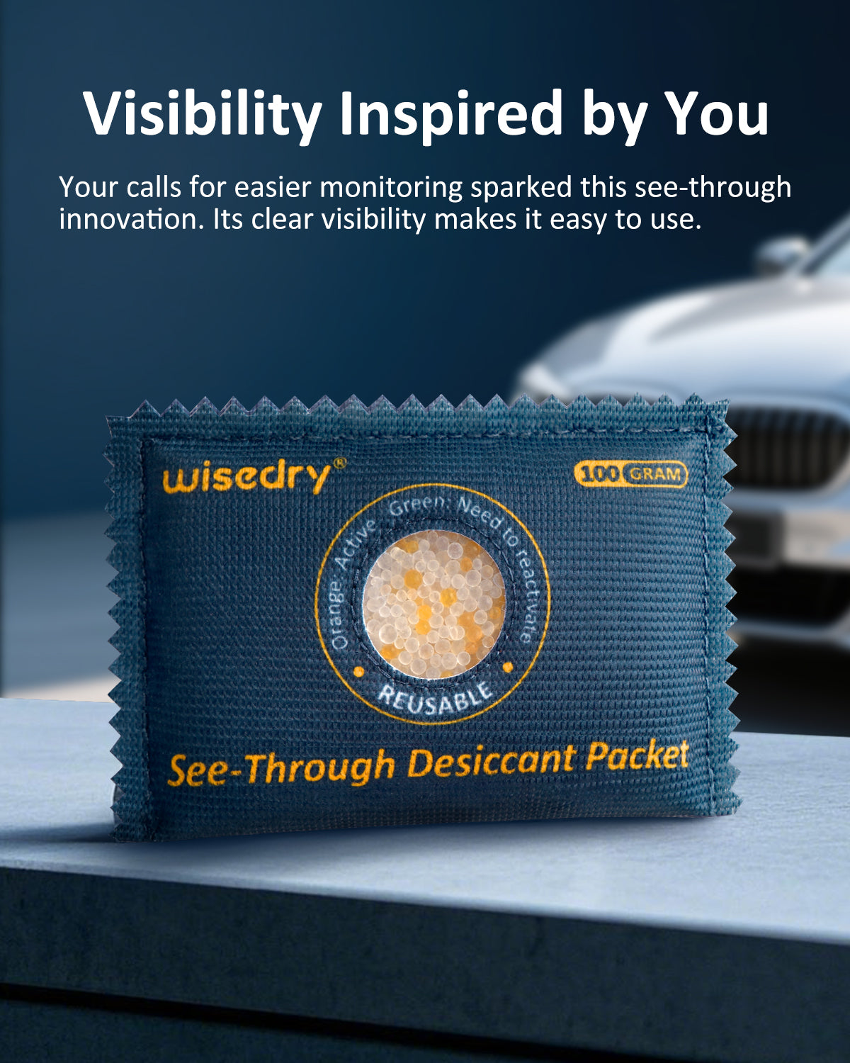 wisedry 100g [10 Packs] See-Through Desiccant Packs