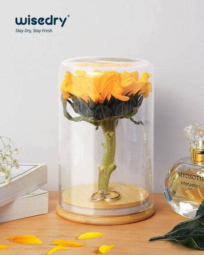 wisedry Glass Jar Display Case 3.9" x 6"
