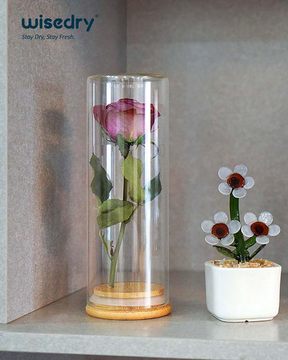 wisedry Decorative Glass Jar Display Case 2.6‘’ × 7.1‘’