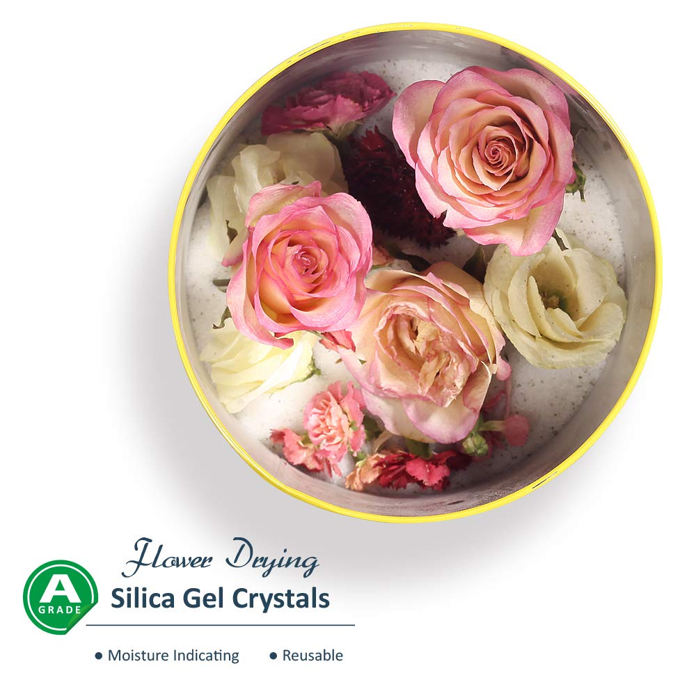 wisedry Silica Gel Flower Drying Crystals