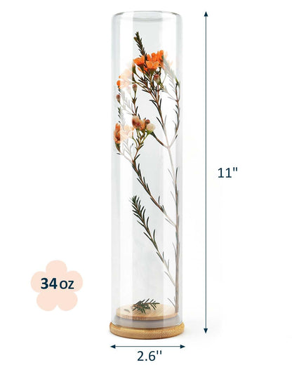 wisedry Decorative Glass Jar Display Case 2.6''x11''