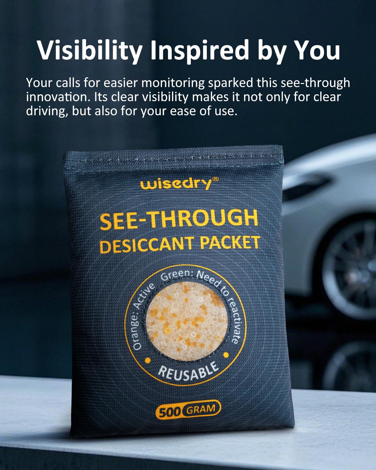 wisedry 2 x 500 Gram See-Through Silica Gel Packets, Color-Indicating Desiccant Packs for Storage, Reusable Gun Safe Dehumidifier, Rechargeable Car Dehumidifier Bag