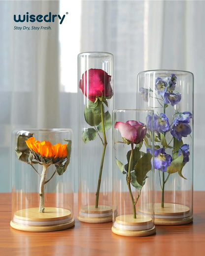 wisedry Decorative Glass Jar Display Case 2.6''x11''